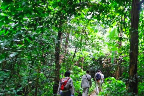 Cuc Phuong 3 days tour