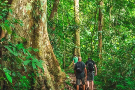 Cuc Phuong Trekking